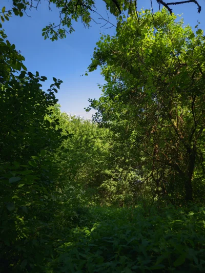 remlezar - #przegryw 

Huop dziś nadkłada drugie tyle w drodze z kołchozu do domu (mi...