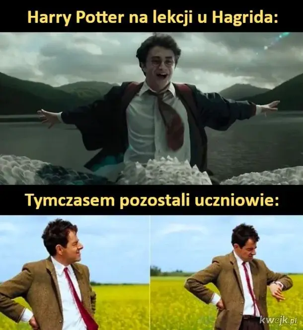 Miteora - #harrypotter