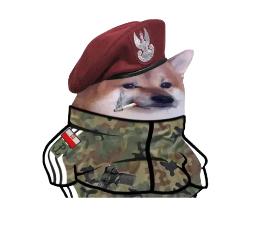 Saeglopur - @Kompot12: To dalej, ubieraj się i leć na UA albo na Moskwe od razu!