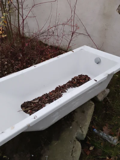 IronManZPodlasia - Ja tu się myje a wy zazdrosni #przegryw #bezdomnosc