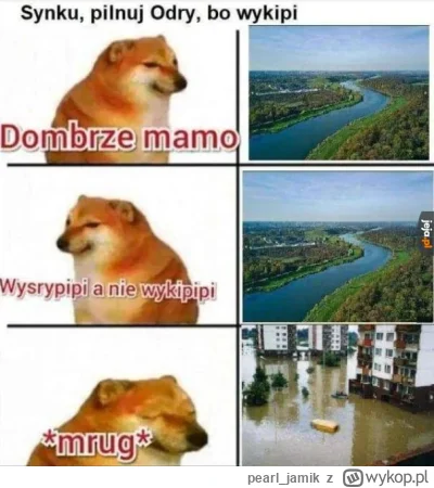 pearl_jamik - #powodz #heheszki #wroclaw