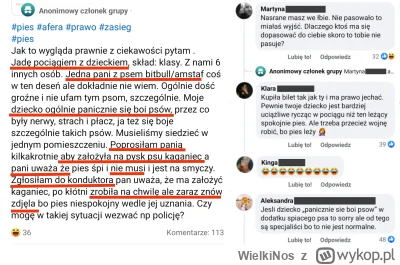 WielkiNos - Masz dogofobię i boisz się psów? Jesteś nienormalny. Dlaczego psiarz z pi...