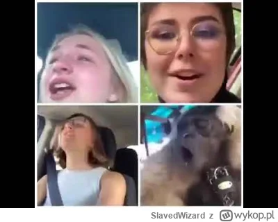 SlavedWizard - @panDario: Ale sie kwoki odpalily XDXD  
https://www.youtube.com/watch...