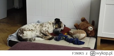 F3NIK5 - Cichy zabójca.
Chyba że widzi wędkarza, wtedy ucieka.