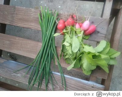 Dorciqch - Wyczuwam twarożek na śniadanie