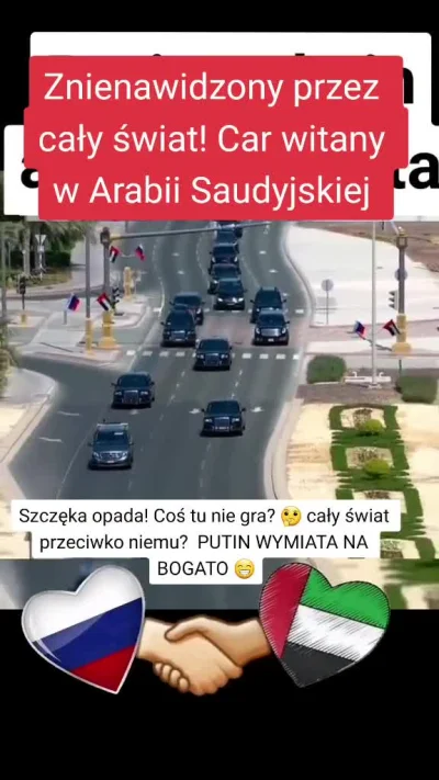 51431e5c08c95238 - Ostatnio na facebooku wyskoczyło mi takie wideo jakiegoś pro-ruski...