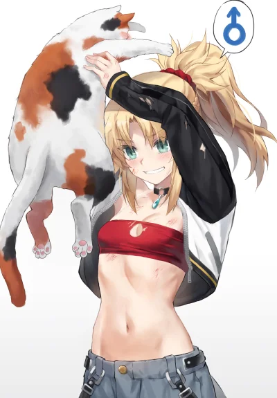 d.....k - #randomanimeshit #fate #mordred #anime #fateapocrypha #bellysupremacy