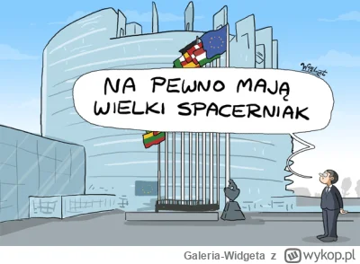 Galeria-Widgeta - Źródło: onet
Rys. Widget
Europoseł Włodzimierz Karpiński skieruje d...