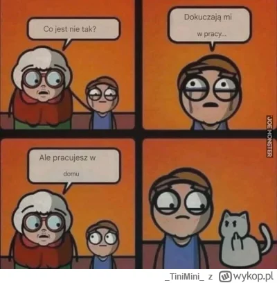 TiniMini - #heheszki #humorobrazkowy #koty #pokazkota #pracbaza