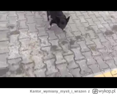 Kantorwymianymysliiwrazen - @Corvus_Frugilagus: @Hellicon 
Nawet nie wiem za bardzo o...