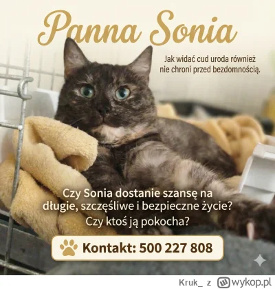 Kruk_ - #koty #czestochowa #pokazkota
