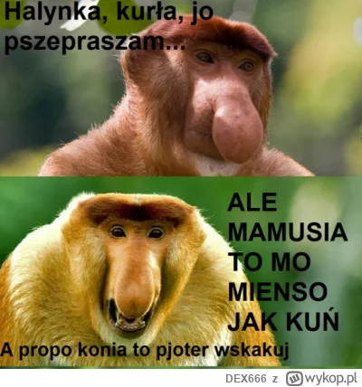 DEX666 - #konkursnanajbardziejgownianymemznosaczem