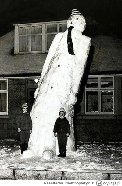 Nessiteras_rhombopteryx - Wesołych świąt entuzjaści #gabinetosobliwosci !
#swieta