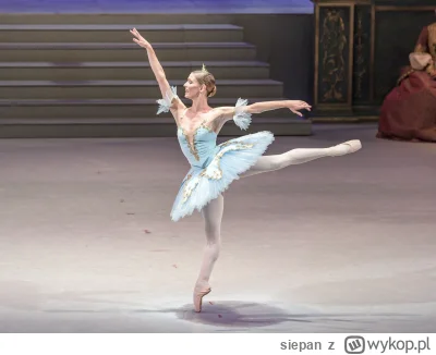 siepan - >balety

@Tryggvason: przecież to dyskoteka a nie balet młotku xD