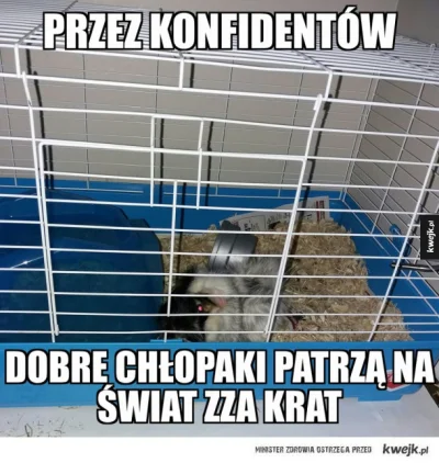 affairz - @tymoteusz-klinkiewicz: