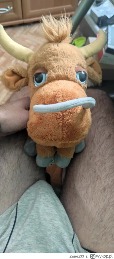 Zwierz33 - Huop spać idzie to pozdrawia z byczkiem fernandem huopów se ヽ( ͠°෴ °)ﾉ

#p...