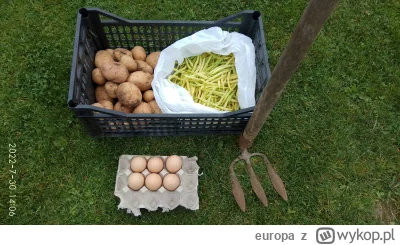 e.....a - @okretowy_sanitariat: nie mam pojęcia. Na wiosnę kupiłem w jakimś hipermark...