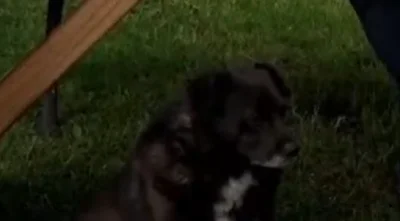 josedra52 - I tak się powoli żyje na tej wsi

#rolnikszukazony