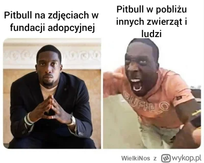 WielkiNos - @dugi123