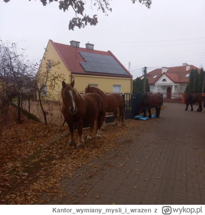 Kantorwymianymysliiwrazen - @Poldek0000: No na taki miał być upozorowany, tylko ludzi...