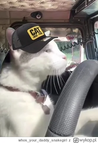 whosyourdaddysnakegirl - @MLeko29  @wybryknatury  @Soothsayer

Kochani, śmieciarka pr...