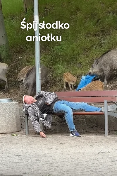 niewidka - @PanMaglev