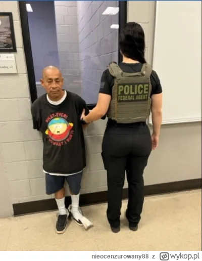 nieocenzurowany88 - Meksykanin karany za jazdę po pijaku dostanie deolport z, USA. Zd...