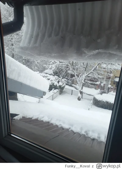 Funky_Koval - @Kantorwymianymyslii_wrazen rośnie w oczach ;)