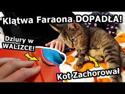 daan-187 - #kikiswiat Dobry Wieczór https://www.youtube.com/watch?v=-qCZi11dzxc