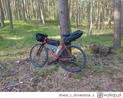 drwalidrewutnia - Pierwszy #bikepacking z prawdziwego zdarzenia.

Sympatyczna i przyj...