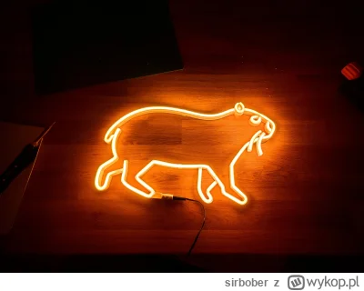 sirbober - Kapi-baaraaa

Popełniłem neona (led).

#neony #neonled #kapibara #kapibary...