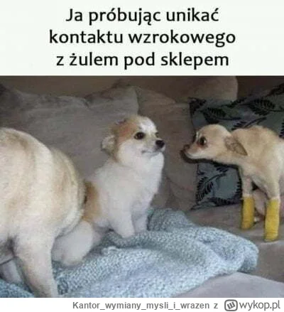 Kantorwymianymysliiwrazen - @Vegasik69: ( ͡° ͜ʖ ͡°)