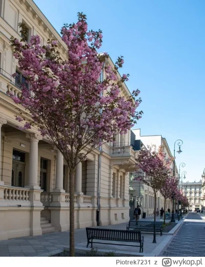 Piotrek7231 - #lodz #ocieplaniewizerunkumiastalodzi
Moniuszki.
