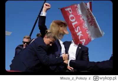 MiszazPolszy - @panDario