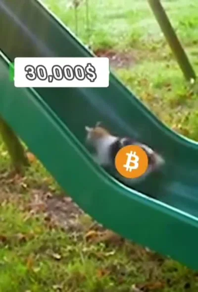 jacek-piekar - #bitcoin