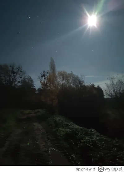 spigniew - Księżyc dzisiaj pomaga się odnaleźć
#spierdotrip