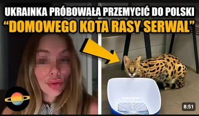 spiewana-pilka-nozna - #famemma #danielmagical

Już wiadomo dlaczego biseks jest w zw...