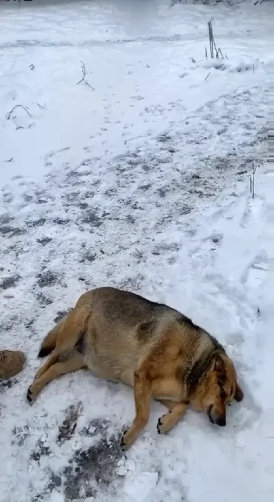 GoracyStek - @gromwell: