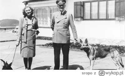 sropo - Czy Hitler był wegetarianinem i faktycznie nie jadał mięsa? Wegetarianie częs...
