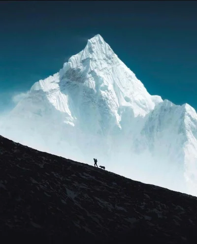 cheeseandonion - #pic #