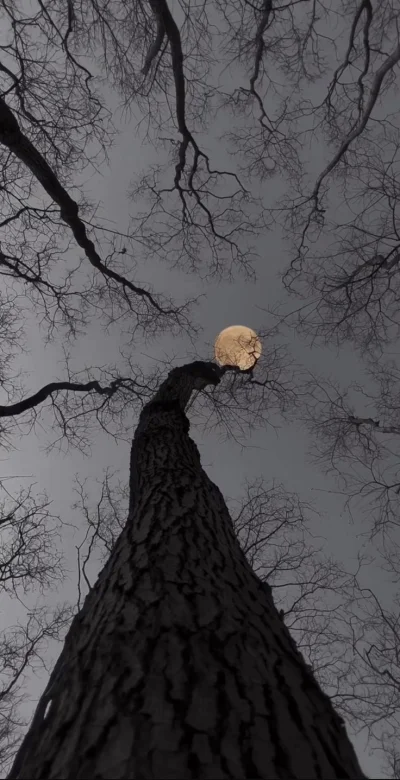 Mr3nKi - #przegryw #art