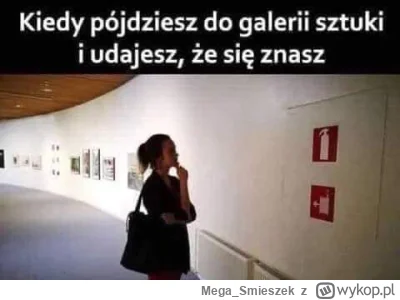 Mega_Smieszek