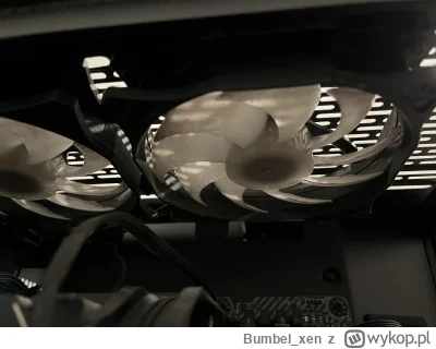 Bumbelxen - @Bumbelxen