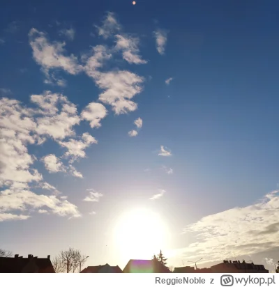 ReggieNoble - Pełne słońce o 10:00 i od razu humor gituwa. Zrobiłem zdjęcie, bo nastę...