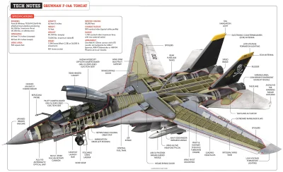 G00LA5H - Czy wiesz, że F-14 był pierwszym amerykańskim myśliwcem zaprojektowanym w o...