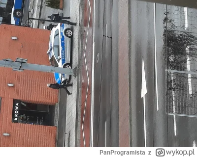 PanProgramista - Czy policja może tak parkować na chodniku/przystanku bez włączonych ...