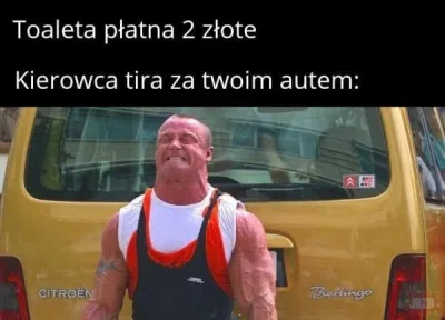 troglodyta_erudyta - #heheszki #bekaztransa