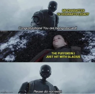 KaiserBrotchen - #hogwartslegacy #harrypotter #heheszki ( ͡º ͜ʖ͡º)