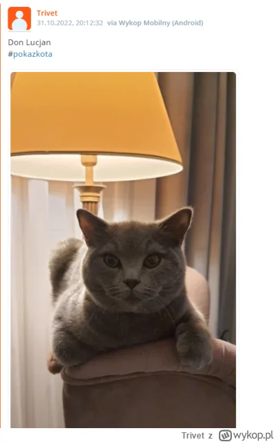 Trivet - @swecymjeplendzo: Ale jaja, to też Lucjan :D