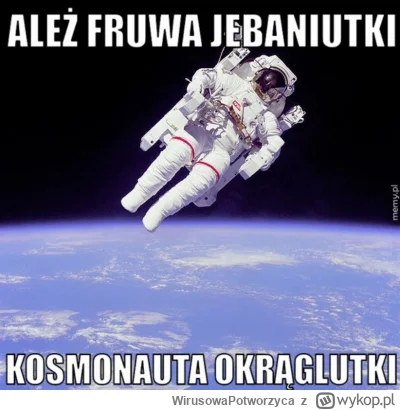 WirusowaPotworzyca - Żegnajciu (｡◕‿‿◕｡)

#moderacja #kosmonauta #pasta #zwiazki #rozo...
